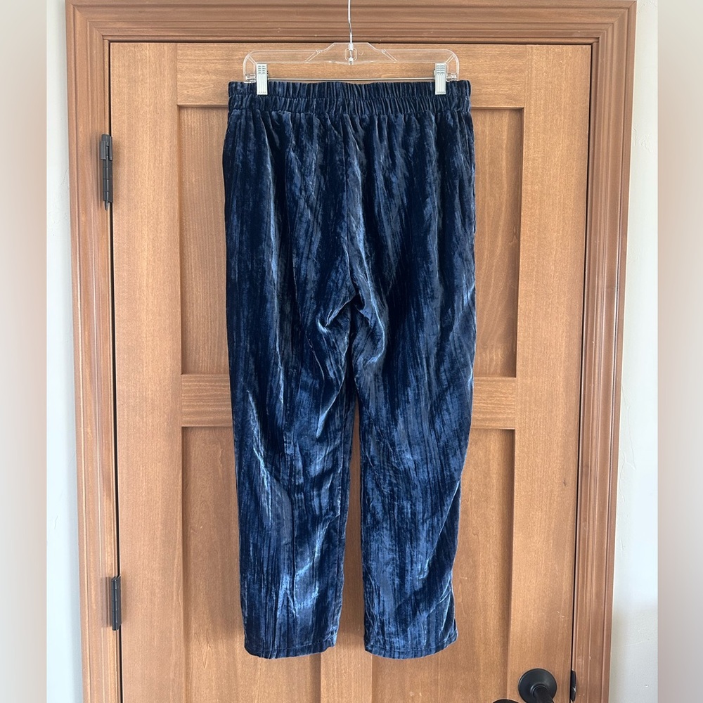 NWT Anthropologie Tina + Jo Josephine Velvet Tapered Trousers M - Picture 6 of 13